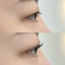 강남초등학교 | 울산 삼산 속눈썹펌 잘하는곳 라무르브로우 후기 유지력대박