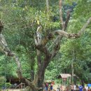 블루라군 이미지