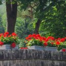 평화여인숙 이미지