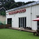 썸바디독스 파주분점 | 파주 | 수영장 있는 애견카페 - 썸바디독스 분점 (내돈내산)