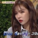 동물농장 이미지