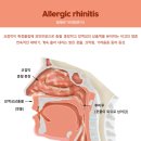 청안당강봄한의원 이미지