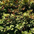 의복제작(심화) | 무형유산 목기장 「고려공예」, 전통 삼존불 복장물 ‘후령통’ 제작.봉안