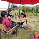 올리농장 이미지