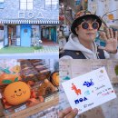 성산구 ⓒ-24 | 제주도 감성 소품샵 제주공항 근처 모이소