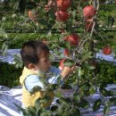 신남어린이집 이미지