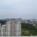 덕진-19 이미지