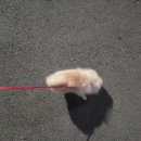 대명생태공원 화장실 이미지