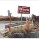 탑동 5층석탑 이미지