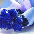 행복꽃집 - 중구 계백로1646번길 9 | 행복꽃집