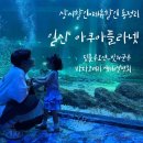 (주)닥터엔누리 | [일산/아쿠아리움] 아쿠아플라넷 일산, 31개월 아기와 임산부 방문 후기｜주차•입장 할인 꿀팁