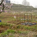 아빠농장 이미지