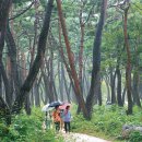 비밀의 문 이미지