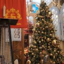 해리애견 | 경기 크리스마스 트리 카페 추천 투하츠베이커리 해리포터 (애견동반)