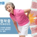 노스탈자 Daum카페