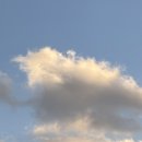 하남주공2차경로당 | 가을 가지마 아니 빨리가 가지마-11월편