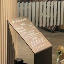 1513 | [일본/하코다테] 제주항공 인천-하코다테 7C1513 / 일본 에어랩 대여 110V 후기