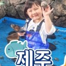 낚시체험장 이미지