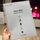 신세계PC게임 | 2025년 1월 부터 12월 돌아보기