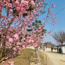 화창운수 이미지