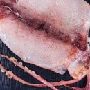 영일만건어물 이미지