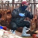 병은우사 이미지