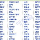 수아트 이미지