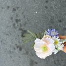 곤지암 한솔유치원 이미지