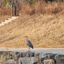 물골안랜드 | 서울 근교 남양주 애견 동반 가능한 물동네힐링캠프 싼타페TM 차박