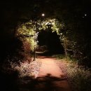 일광행정사합동사무소 이미지