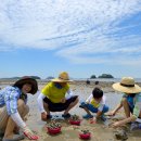 조개체험장  대죽 이미지