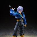 슈퍼 트렁크 이미지