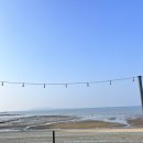 십리포비치펜션 민박 | [채의 일상] 바다 바로 앞 숙소에서 바베큐까지 10만원대, 영흥도 십리포비치펜션 솔직 후기