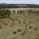 한진농장 이미지