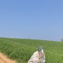 주산목장 이미지