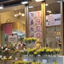 그순간꽃부천 이미지