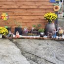 지리산 순심이네 캠핑 민박 이미지