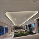 명동정비 | 보타닉 세운 명동 시그니처 보타닉 스위트 숙박 후기