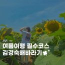 해바라기2 | 제주 해바라기명소 김경숙해바라기 농장 7월 실시간후기