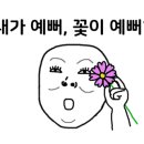 궁전아이스크림 이미지