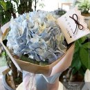 수국과안개꽃 카카오 검색결과