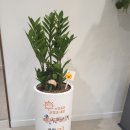 부천중앙신경과의원 이미지