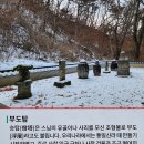 강원도 원주시 치악산(1288m)황골에서 비로봉을 넘어 구룡사까지~.. 이미지