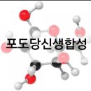 그루비짐24 양곡점 | 양곡헬스장 그루비짐24 단백질이 궁굼해 핵심 정리