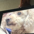 혜연농장 네이버블로그