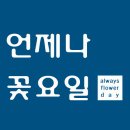 언제나꽃 이미지