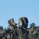 에스엔알 | 충북 제천의 숨겨진 보물, 동산 탐방기!