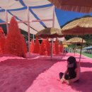 봉식이놀이터 이미지