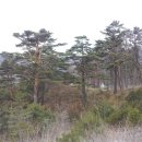 행운쉼터 이미지