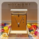 최신영화 드림 | [리뷰] 불가리 - 세르펜티 화이트골드 풀파베 목걸이 구매후기 &amp; 착샷, 빈다 옐골 비교